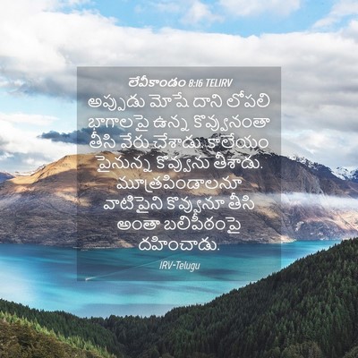 Picture 04 - లేవీకాండం 8:16 TELIRV - అప్పుడు మోషే దాని - Bible Verse Picture