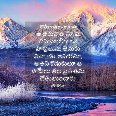 Picture 04 - లేవీకాండం 8:18 TELIRV - ఆ తరువాత మోషే - Bible Verse Picture