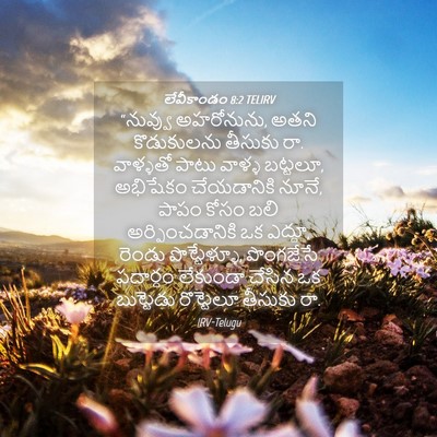 Picture 04 - లేవీకాండం 8:2 TELIRV - “నువ్వు అహరోనును, - Bible Verse Picture
