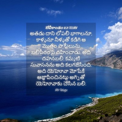 Picture 04 - లేవీకాండం 8:21 TELIRV - అతడు దాని లోపలి - Bible Verse Picture