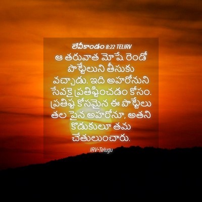 Picture 04 - లేవీకాండం 8:22 TELIRV - ఆ తరువాత మోషే - Bible Verse Picture