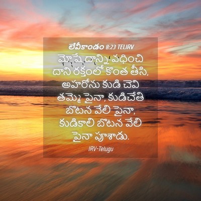 Picture 04 - లేవీకాండం 8:23 TELIRV - మోషే దాన్ని - Bible Verse Picture