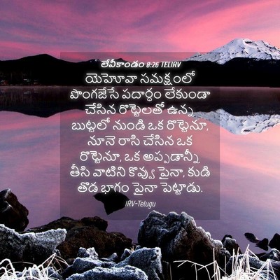 Picture 04 - లేవీకాండం 8:26 TELIRV - యెహోవా సమక్షంలో - Bible Verse Picture