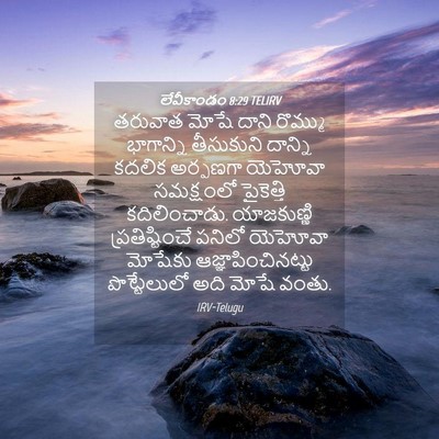 Picture 04 - లేవీకాండం 8:29 TELIRV - తరువాత మోషే దాని - Bible Verse Picture