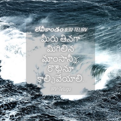 Picture 04 - లేవీకాండం 8:32 TELIRV - మీరు తినగా - Bible Verse Picture