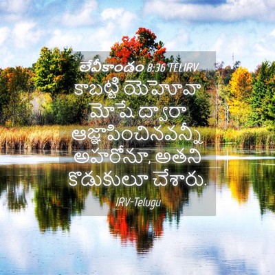Picture 04 - లేవీకాండం 8:36 TELIRV - కాబట్టి యెహోవా - Bible Verse Picture