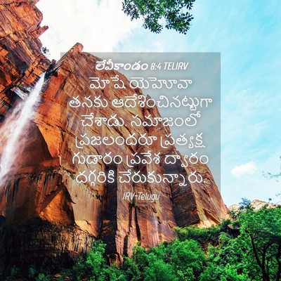 Picture 04 - లేవీకాండం 8:4 TELIRV - మోషే యెహోవా తనకు - Bible Verse Picture