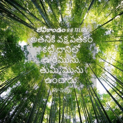 Picture 04 - లేవీకాండం 8:8 TELIRV - అతనికి వక్షపతకం - Bible Verse Picture