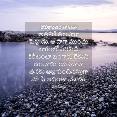 Picture 04 - లేవీకాండం 8:9 TELIRV - అతనికి తలపాగా - Bible Verse Picture