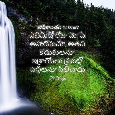 Picture 04 - లేవీకాండం 9:1 TELIRV - ఎనిమిదో రోజు మోషే - Bible Verse Picture