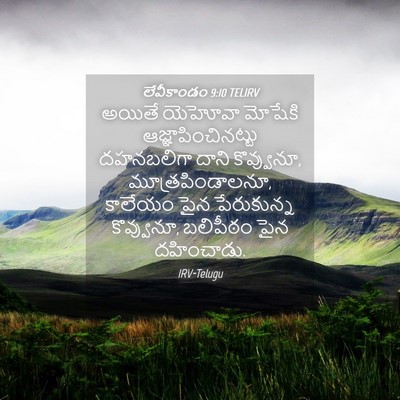 Picture 04 - లేవీకాండం 9:10 TELIRV - అయితే యెహోవా - Bible Verse Picture