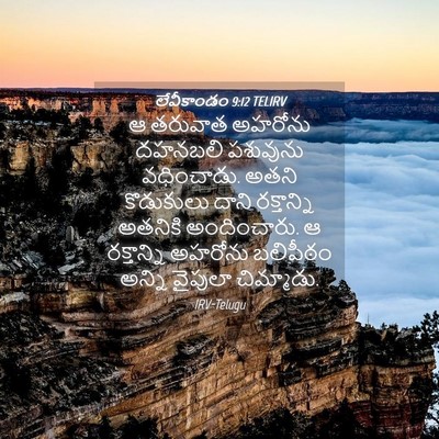 Picture 04 - లేవీకాండం 9:12 TELIRV - ఆ తరువాత అహరోను - Bible Verse Picture