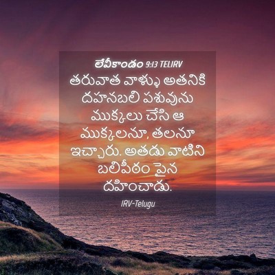Picture 04 - లేవీకాండం 9:13 TELIRV - తరువాత వాళ్ళు - Bible Verse Picture