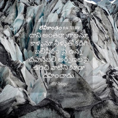 Picture 04 - లేవీకాండం 9:14 TELIRV - దాని - Bible Verse Picture