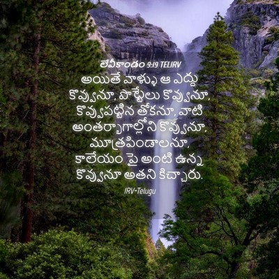 Picture 04 - లేవీకాండం 9:19 TELIRV - అయితే వాళ్ళు ఆ - Bible Verse Picture