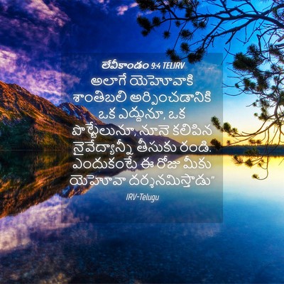 Picture 04 - లేవీకాండం 9:4 TELIRV - అలాగే యెహోవాకి - Bible Verse Picture