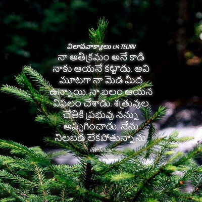 Picture 04 - విలాపవాక్యాలు 1:14 TELIRV - నా అతిక్రమం అనే - Bible Verse Picture