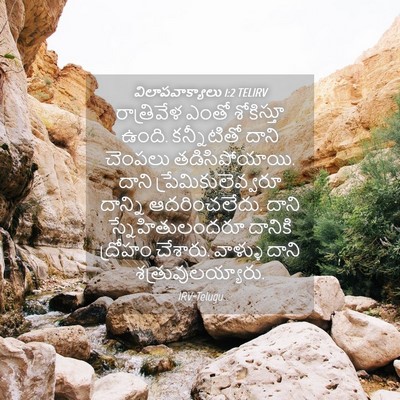 Picture 04 - విలాపవాక్యాలు 1:2 TELIRV - రాత్రివేళ ఎంతో - Bible Verse Picture