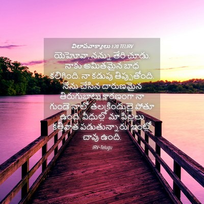 Picture 04 - విలాపవాక్యాలు 1:20 TELIRV - యెహోవా, నన్ను తేరి - Bible Verse Picture