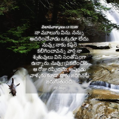 Picture 04 - విలాపవాక్యాలు 1:21 TELIRV - నా మూలుగు విను. - Bible Verse Picture