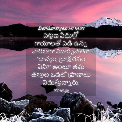 Picture 04 - విలాపవాక్యాలు 2:12 TELIRV - పట్టణ వీధుల్లో - Bible Verse Picture