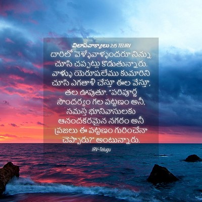 Picture 04 - విలాపవాక్యాలు 2:15 TELIRV - దారిలో - Bible Verse Picture