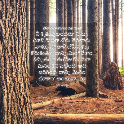 Picture 04 - విలాపవాక్యాలు 2:16 TELIRV - నీ శత్రువులందరూ - Bible Verse Picture