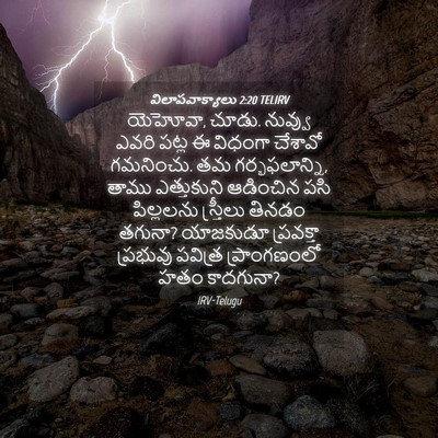Picture 04 - విలాపవాక్యాలు 2:20 TELIRV - యెహోవా, చూడు. - Bible Verse Picture