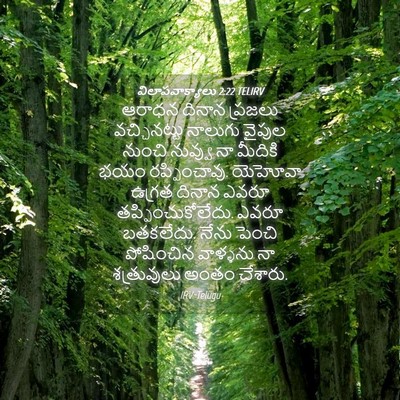 Picture 04 - విలాపవాక్యాలు 2:22 TELIRV - ఆరాధన దినాన - Bible Verse Picture