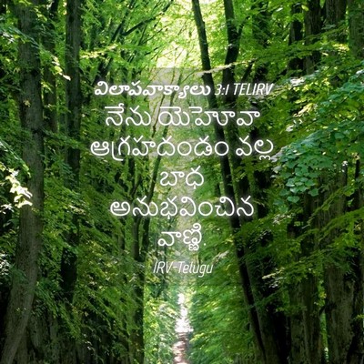 Picture 04 - విలాపవాక్యాలు 3:1 TELIRV - నేను యెహోవా - Bible Verse Picture