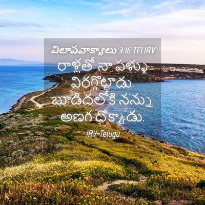 Picture 04 - విలాపవాక్యాలు 3:16 TELIRV - రాళ్లతో నా పళ్ళు - Bible Verse Picture