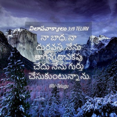Picture 04 - విలాపవాక్యాలు 3:19 TELIRV - నా బాధ, నా దురవస్థ, - Bible Verse Picture