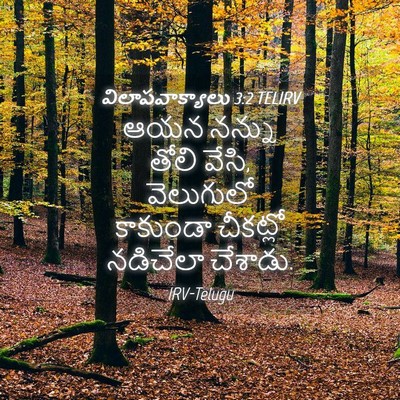 Picture 04 - విలాపవాక్యాలు 3:2 TELIRV - ఆయన నన్ను తోలి - Bible Verse Picture