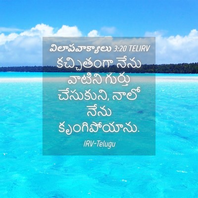 Picture 04 - విలాపవాక్యాలు 3:20 TELIRV - కచ్చితంగా నేను - Bible Verse Picture