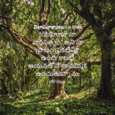 Picture 04 - విలాపవాక్యాలు 3:24 TELIRV - “యెహోవా నా - Bible Verse Picture