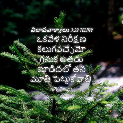 Picture 04 - విలాపవాక్యాలు 3:29 TELIRV - ఒకవేళ నిరీక్షణ - Bible Verse Picture