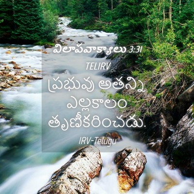 Picture 04 - విలాపవాక్యాలు 3:31 TELIRV - ప్రభువు అతన్ని - Bible Verse Picture