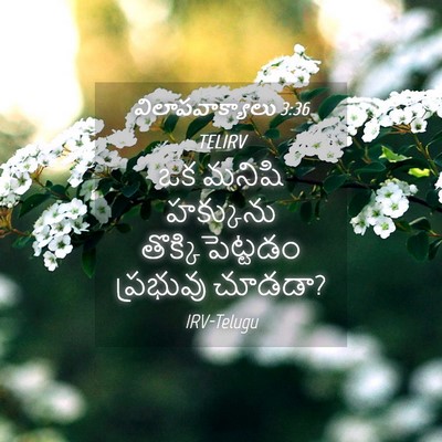 Picture 04 - విలాపవాక్యాలు 3:36 TELIRV - ఒక మనిషి హక్కును - Bible Verse Picture