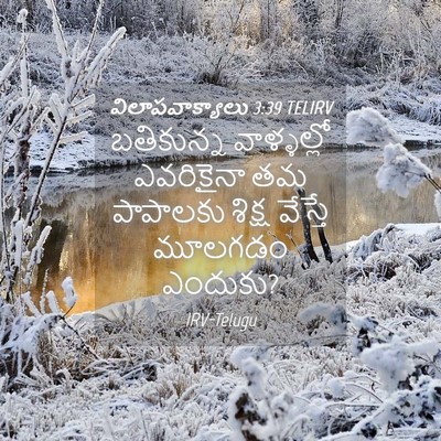 Picture 04 - విలాపవాక్యాలు 3:39 TELIRV - బతికున్న - Bible Verse Picture
