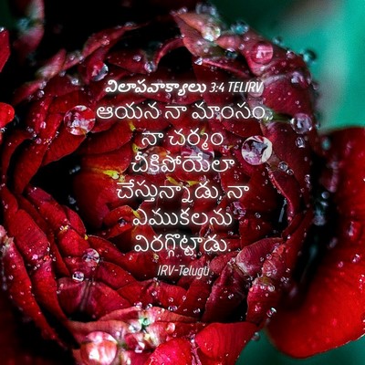 Picture 04 - విలాపవాక్యాలు 3:4 TELIRV - ఆయన నా మాంసం, నా - Bible Verse Picture