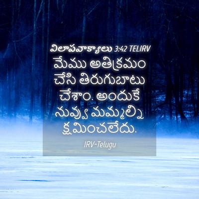 Picture 04 - విలాపవాక్యాలు 3:42 TELIRV - మేము అతిక్రమం - Bible Verse Picture