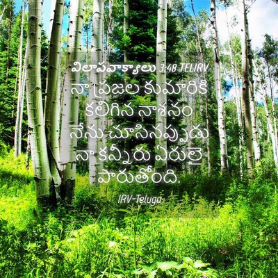 Picture 04 - విలాపవాక్యాలు 3:48 TELIRV - నా ప్రజల కుమారికి - Bible Verse Picture