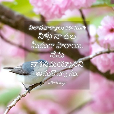 Picture 04 - విలాపవాక్యాలు 3:54 TELIRV - నీళ్లు నా తల - Bible Verse Picture