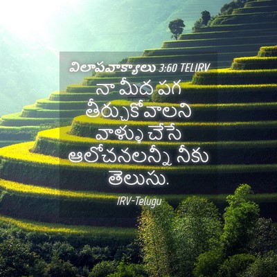 Picture 04 - విలాపవాక్యాలు 3:60 TELIRV - నా మీద పగ - Bible Verse Picture