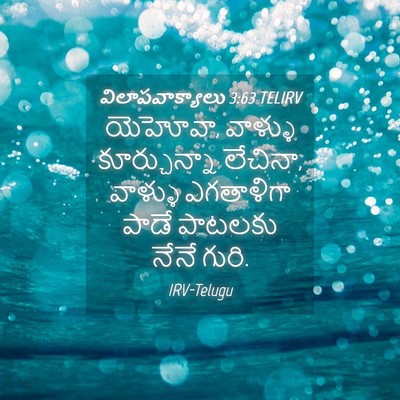 Picture 04 - విలాపవాక్యాలు 3:63 TELIRV - యెహోవా, వాళ్ళు - Bible Verse Picture
