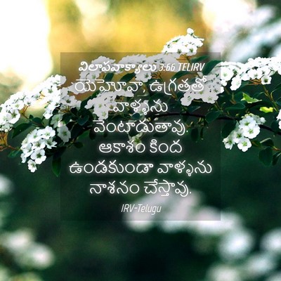 Picture 04 - విలాపవాక్యాలు 3:66 TELIRV - యెహోవా, ఉగ్రతతో - Bible Verse Picture