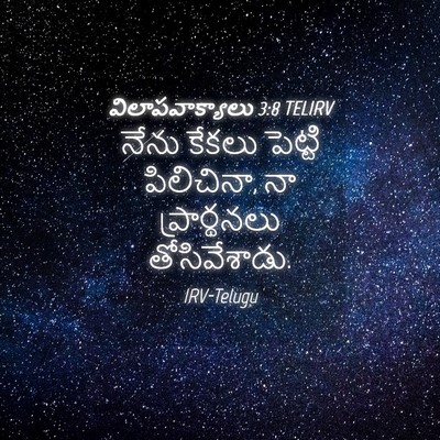 Picture 04 - విలాపవాక్యాలు 3:8 TELIRV - నేను కేకలు పెట్టి - Bible Verse Picture