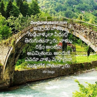 Picture 04 - విలాపవాక్యాలు 4:14 TELIRV - ఇప్పుడు వాళ్ళు - Bible Verse Picture