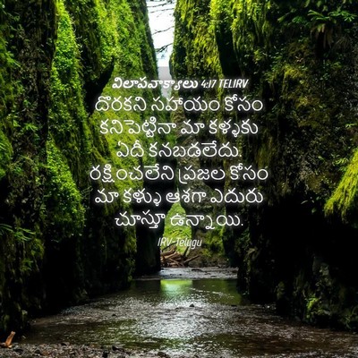 Picture 04 - విలాపవాక్యాలు 4:17 TELIRV - దొరకని సహాయం కోసం - Bible Verse Picture