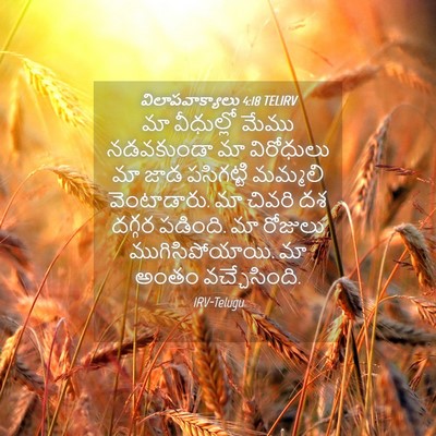 Picture 04 - విలాపవాక్యాలు 4:18 TELIRV - మా వీధుల్లో మేము - Bible Verse Picture